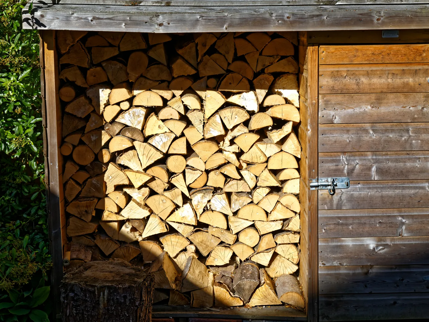 Best Wood to Burn: Why Species Matters Less Than You Think